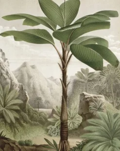 Behangpaneel Banana Tree