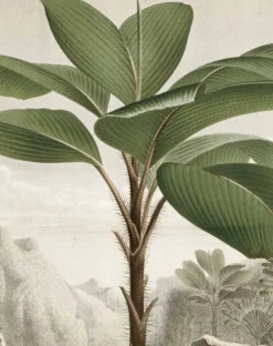 Behangpaneel Banana Tree