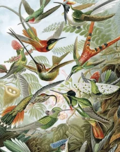 Behangpaneel Exotic Birds