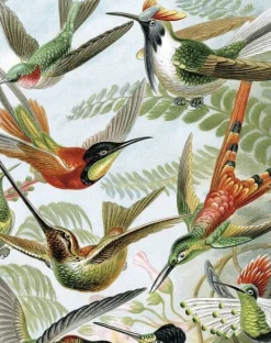 Behangpaneel Exotic Birds