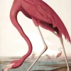 Behangpaneel Flamingo