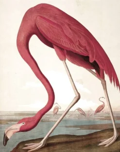 Behangpaneel Flamingo