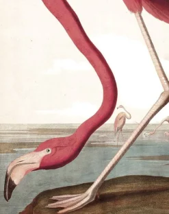 Behangpaneel Flamingo
