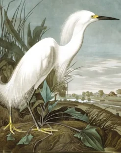Behangpaneel Snowy Heron