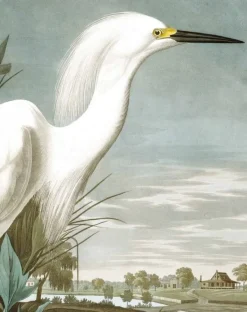 Behangpaneel Snowy Heron