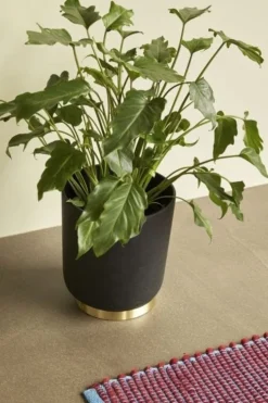 Bloempotten zwart - set van 2 stuks