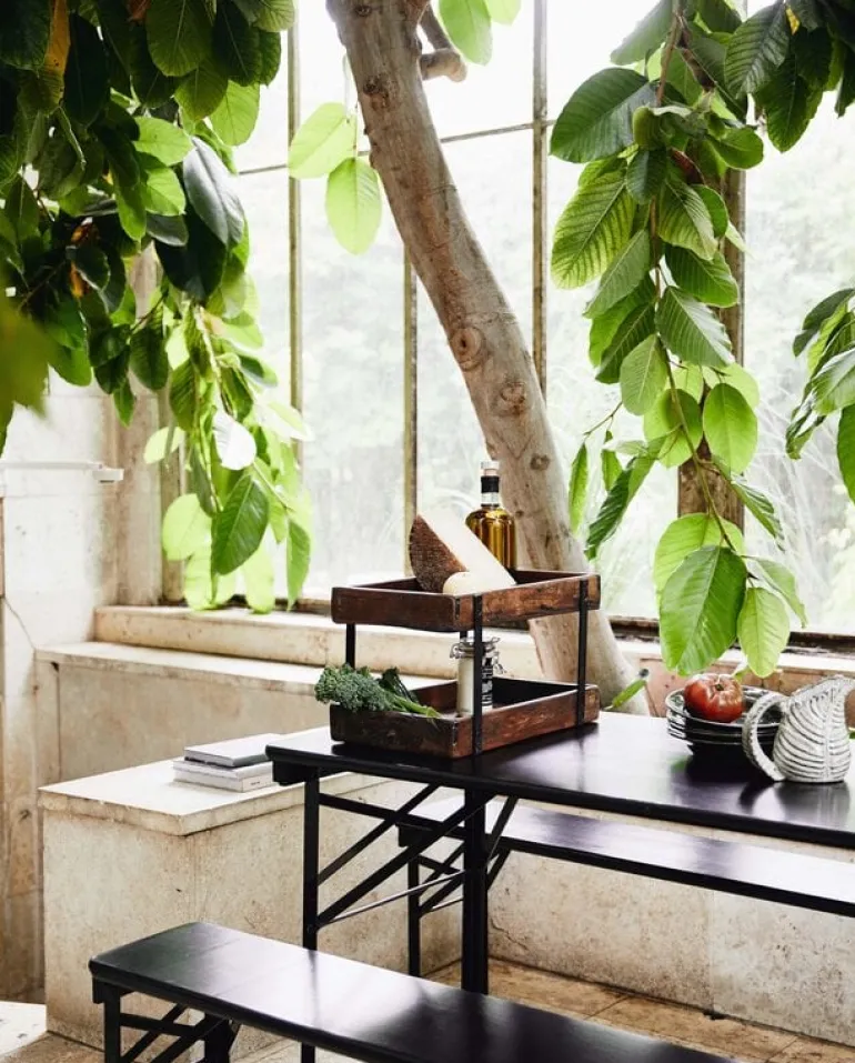 Boldo etagere - 2001