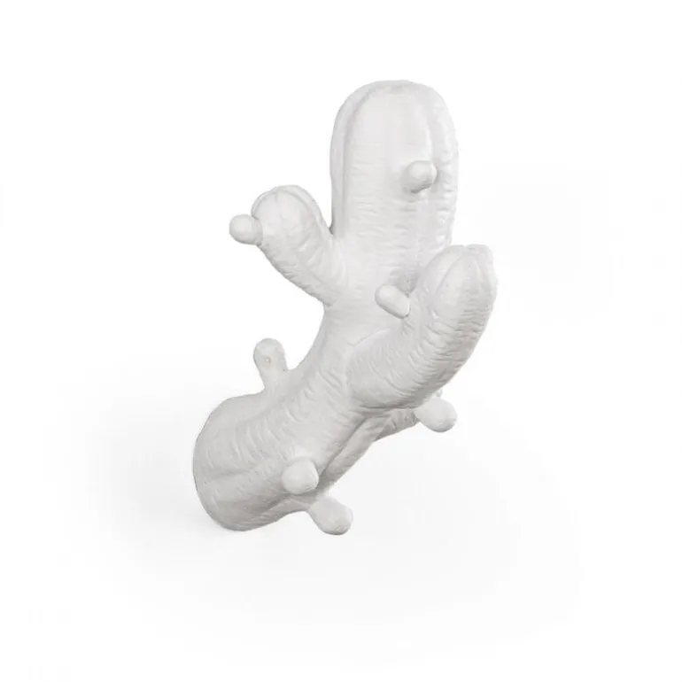 Cactus kapstok - 14638