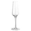 Champagne glas - set van 12 stuks