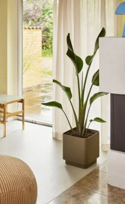 Cube plantenbakken bruin set van 2 stuks - 991915