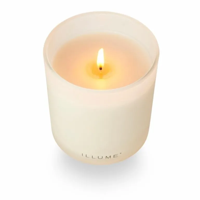 Driftwood box kaars wit - 4537500500