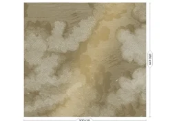 Engraved clouds goud behang MW-011- 300x280cm