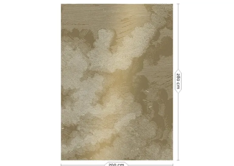 Engraved clouds goud behang MW-010- 200x280cm