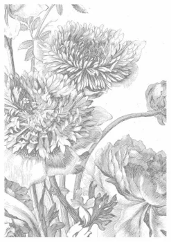 Engraved Flowers behang