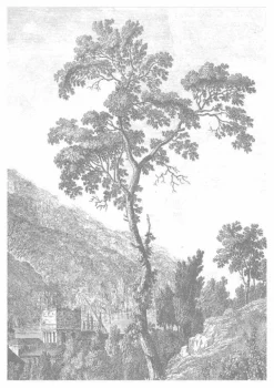 Engraved Landscapes behang