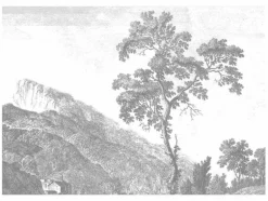 Engraved Landscapes behang