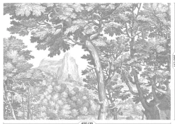 Engraved landschappen behang grijs WP-781 400x280cm