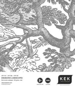 Engraved landschappen behang grijs WP-781 400x280cm