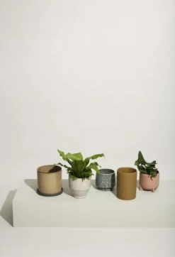 Era bloempotten bruin set van 2 stuks - 761503