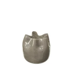 Esther vaas fungi - 14485023