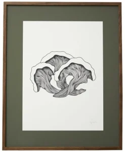 Fungi illustration - donker eiken