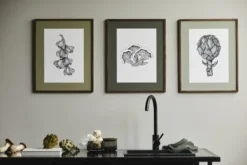 Fungi illustration - donker eiken