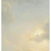 Golden Age Clouds behang