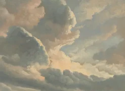 Golden age clouds behang WP-787 - 389,6x280cm