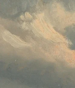 Golden age clouds behang WP-785 - 194,8x280cm