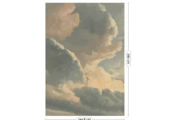 Golden age clouds behang WP-785 - 194,8x280cm