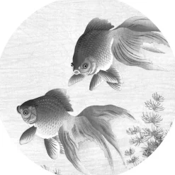 Goldfish behangcirkel SC-005 - ø 142,5 cm