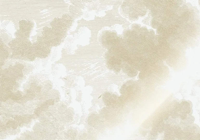 Goud Engraved clouds behang MW-178 - 400x280cm