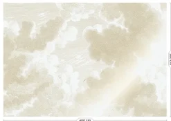 Goud Engraved clouds behang MW-178 - 400x280cm