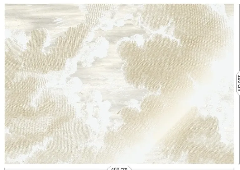 Goud Engraved clouds behang MW-178 - 400x280cm