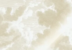 Goud Engraved clouds behang MW-177- 300x280cm
