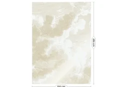 Goud Engraved clouds behang MW-177- 300x280cm