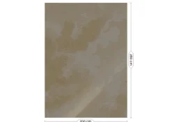 Goud Engraved clouds grijs behang MW-185 - 200x280cm