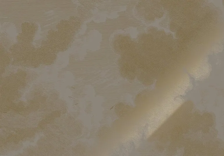 Goud Engraved clouds grijs behang MW-186 - 300x280cm