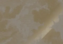 Goud Engraved clouds grijs behang MW-186 - 300x280cm