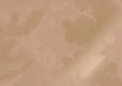 Goud Engraved clouds nude behang MW-182 - 200x280cm