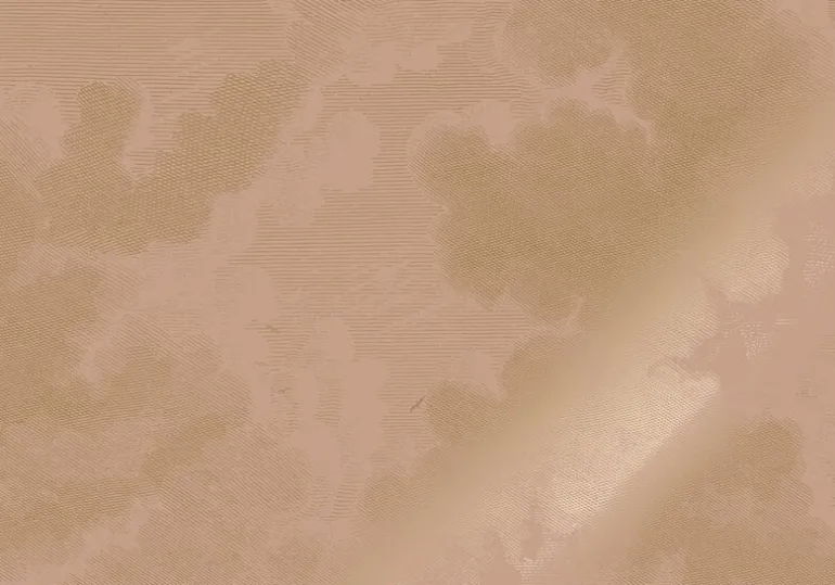 Goud Engraved clouds nude behang MW-182 - 200x280cm