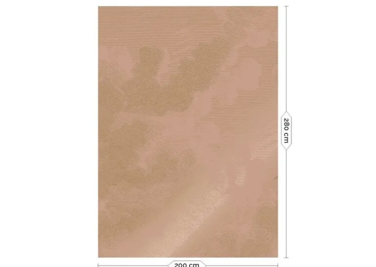 Goud Engraved clouds nude behang MW-182 - 200x280cm