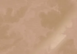 Goud Engraved clouds nude behang MW-184 - 400x280cm