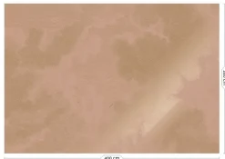 Goud Engraved clouds nude behang MW-184 - 400x280cm