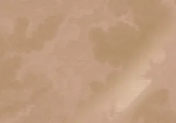 Goud Engraved clouds nude behang MW-183 - 300x280cm