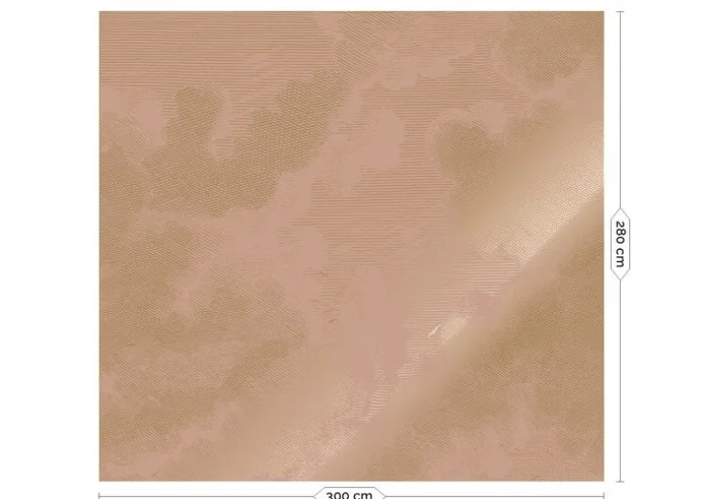 Goud Engraved clouds nude behang MW-183 - 300x280cm