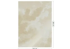 Goud Engraved clouds zand behang MW-179 - 200x280cm