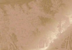 Goud Engraved landschappen behang nude MW-158 200x280cm