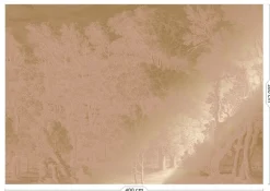 Goud Engraved landschappen behang nude MW-160 400x280cm