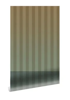 Gradient Stripes behang FU-018